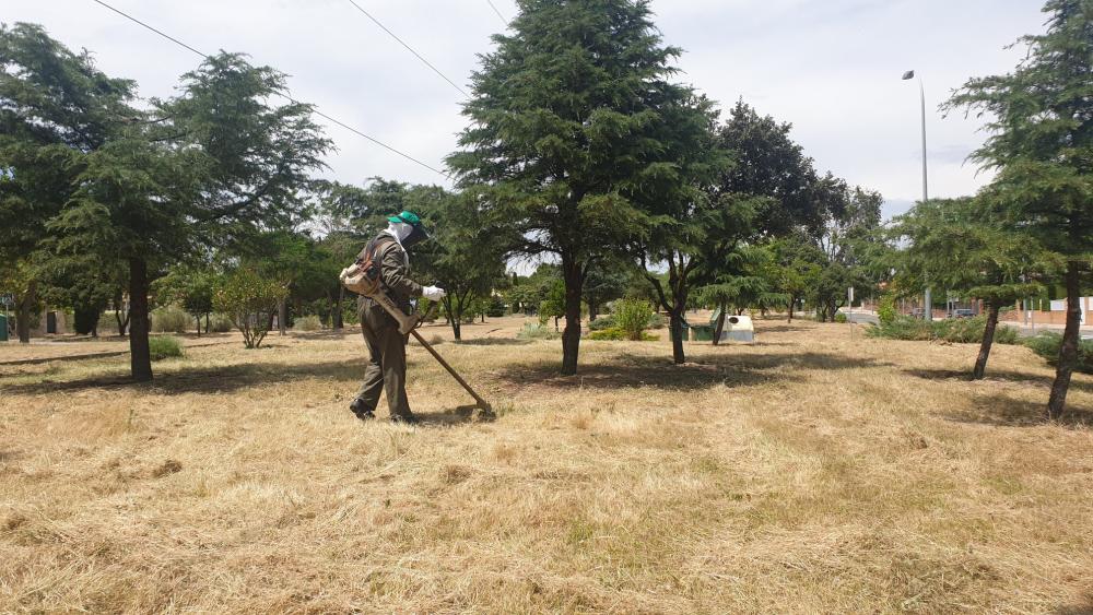  Imagen El alcalde dicta un bando en el que recuerda a los propietarios de parcelas la obligatoriedad de desbrozarlas