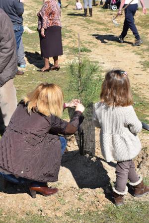 Este sábado se celebra la plantación popular en la que se identificará cada árbol con el nombre de los niños y niñas nacidos en 2016