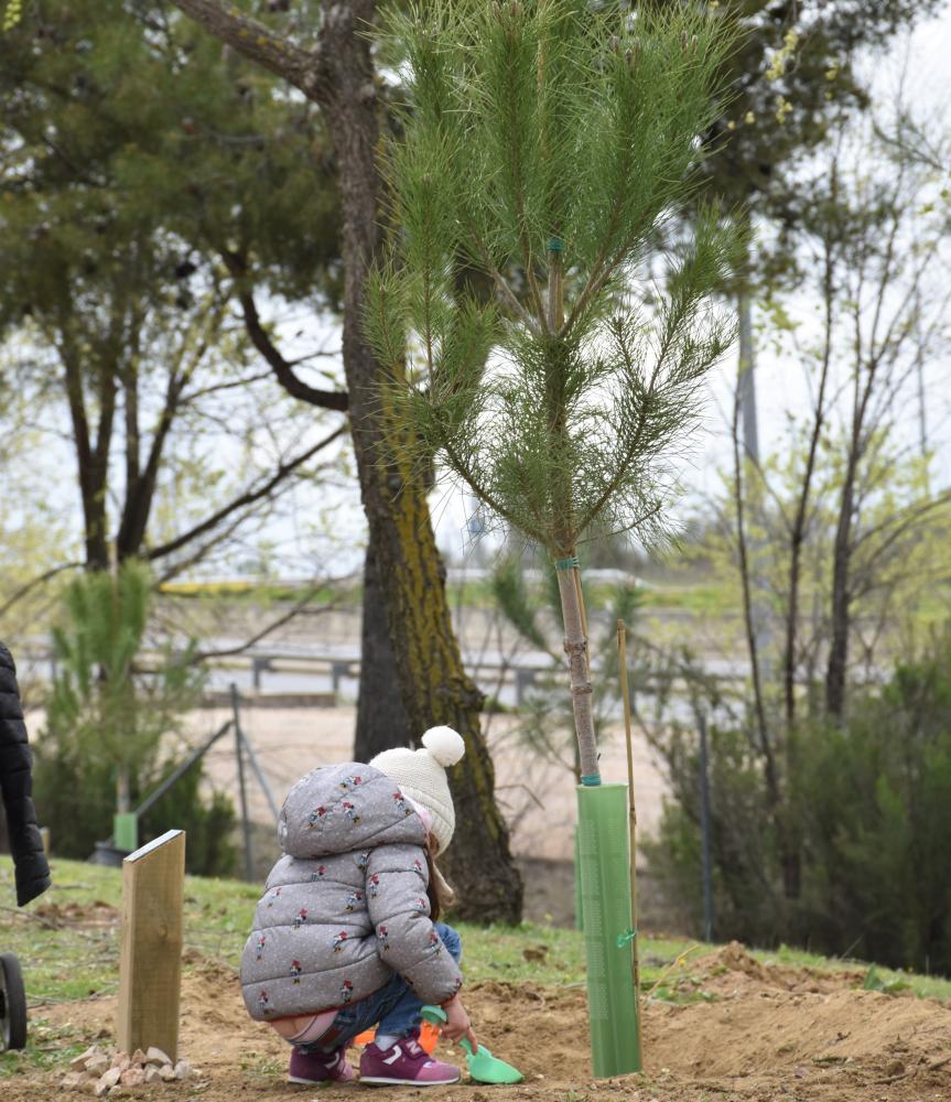  Imagen Los nacidos en 2021 tendrán un árbol a cuyo pie se le pondrá su nombre y fecha de nacimiento en la plantación que el Ayuntamiento realizará el 23 de octubre