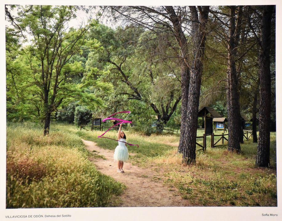  Imagen La dehesa de El Sotillo representa a Villaviciosa de Odón en la exposición “Región. Paisaje, fotografía y patrimonio”