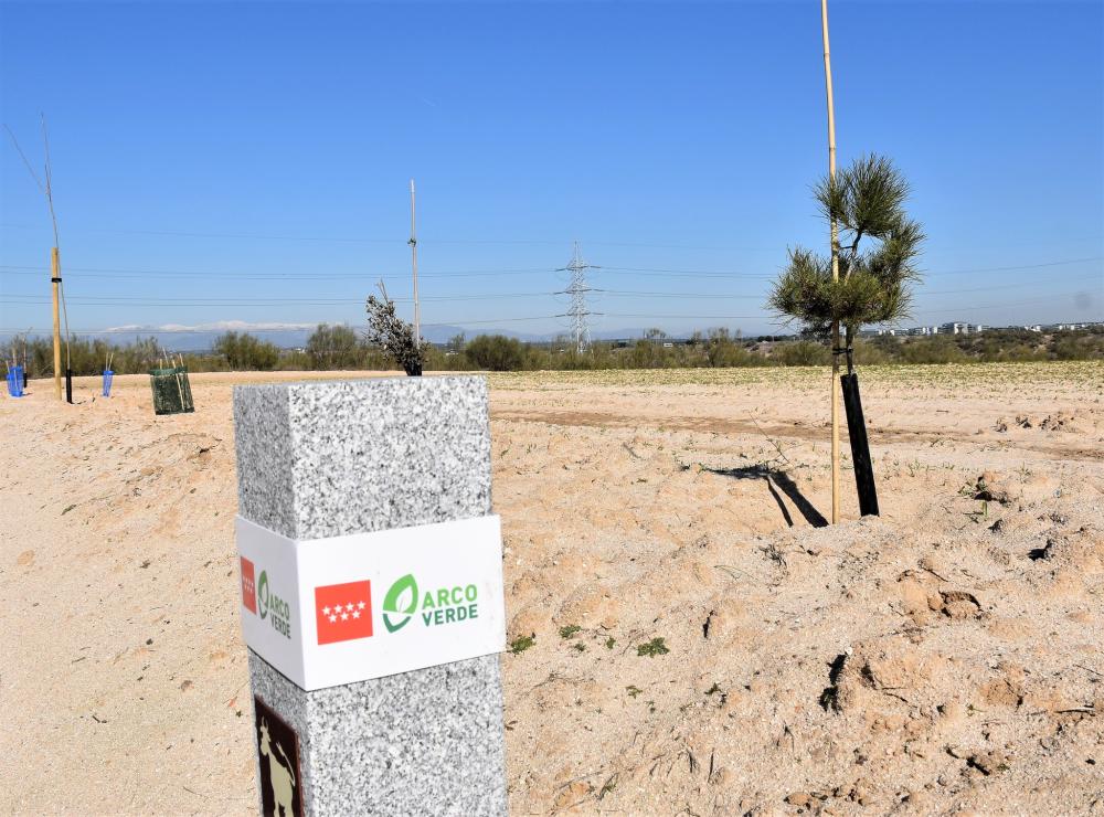 Imagen Plantados cientos de árboles en los márgenes de los caminos de Villaviciosa integrados en el Arco Verde de la Comunidad de Madrid