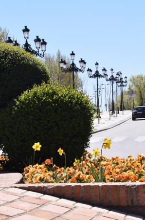 Avenida Calatalifa 1