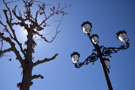 Avenida Calatalifa 6