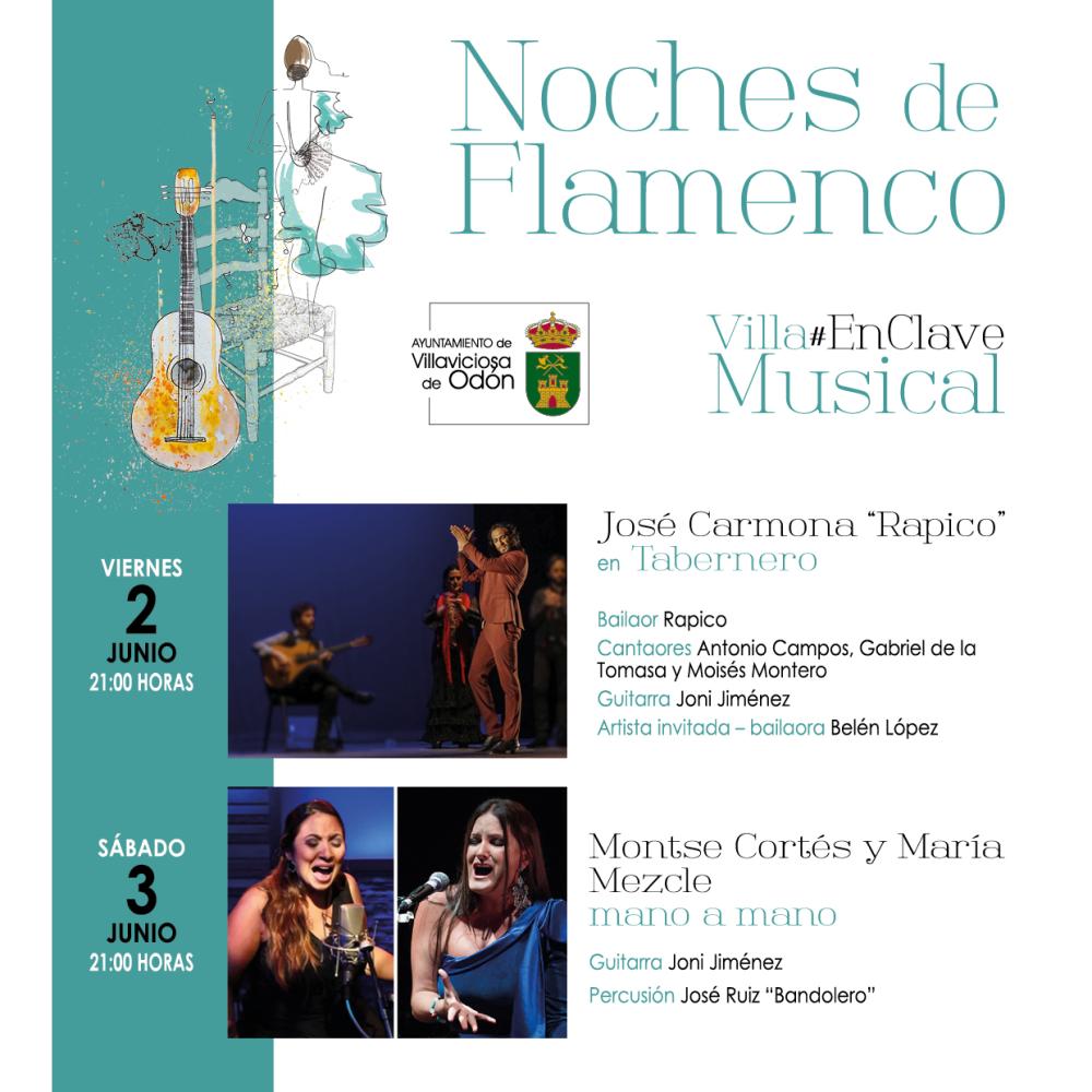  Imagen La programación VillaEnClaveMusical vuelve a tener en el flamenco a una de sus actividades protagonistas