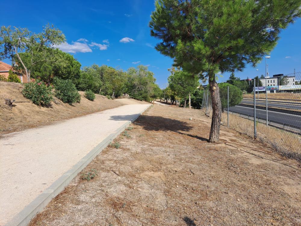  Imagen El Ayuntamiento de Villaviciosa adopta medidas para paliar la plaga de conejos en el anillo verde mediante su captura, vacunación y posterior suelta en el Coto