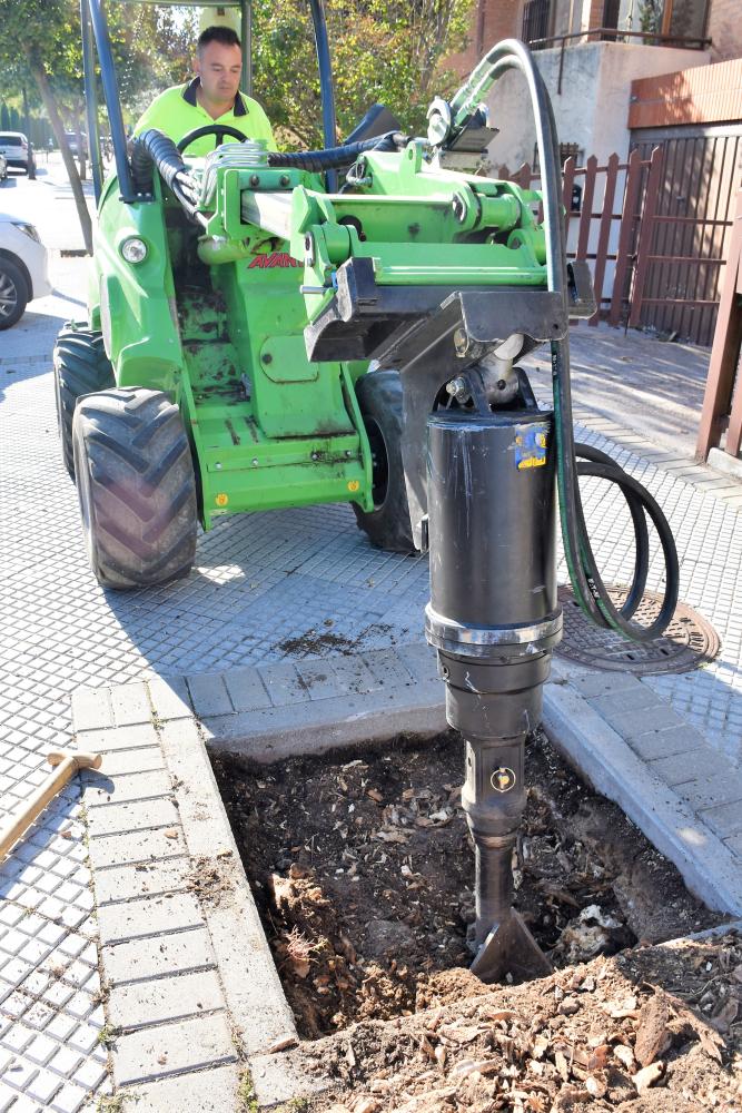  Imagen La concejalía de Medio Ambiente realiza el destoconado en los alcorques del municipio para proceder a la campaña de plantación de este año
