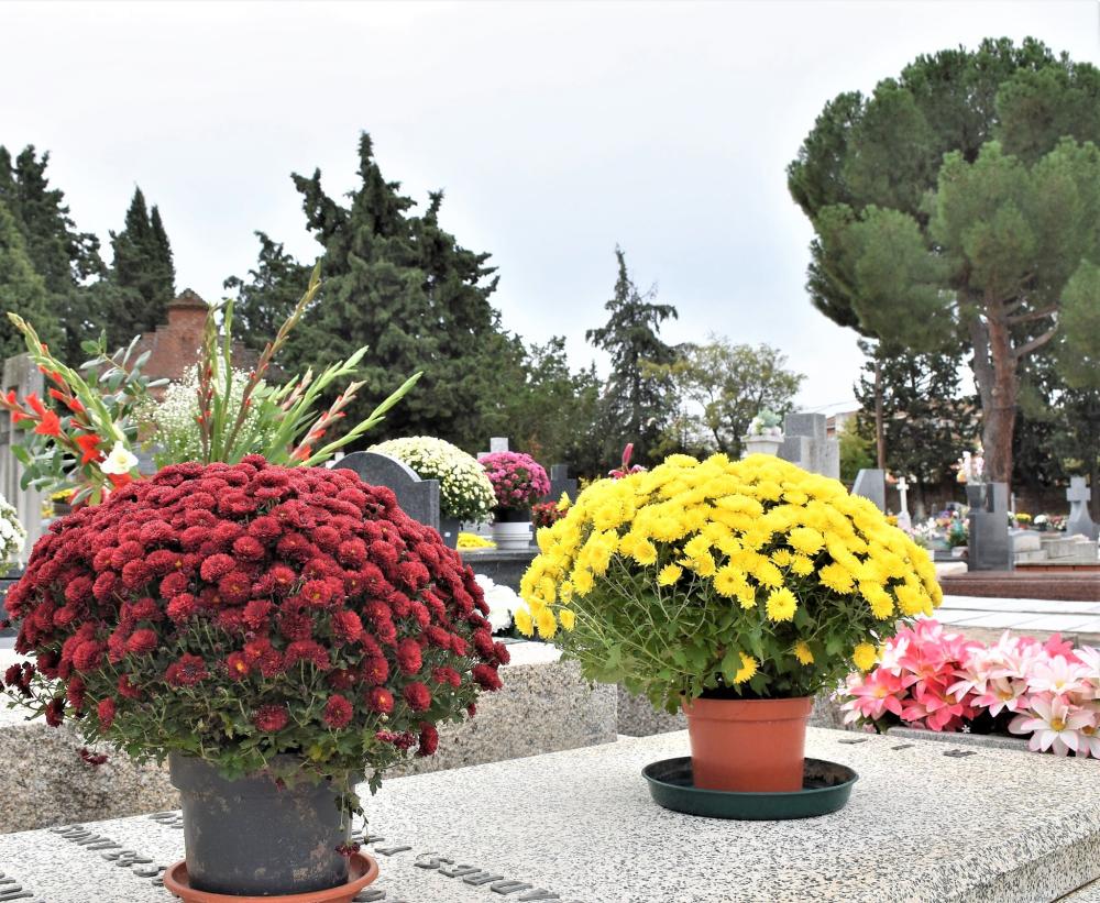  Imagen El día de Todos los Santos se celebrará Misa a las 17:00 horas en el cementerio