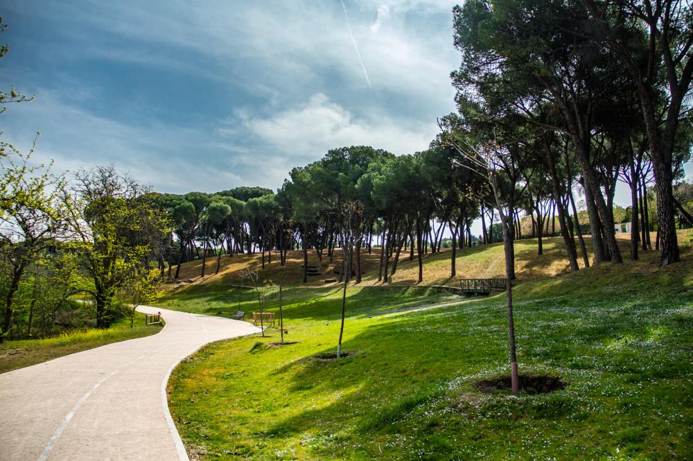  Imagen El Ayuntamiento abre un proceso de consulta ciudadana sobre una ordenanza de medio ambiente y la redacción de un reglamento de recogida de residuos y limpieza viaria