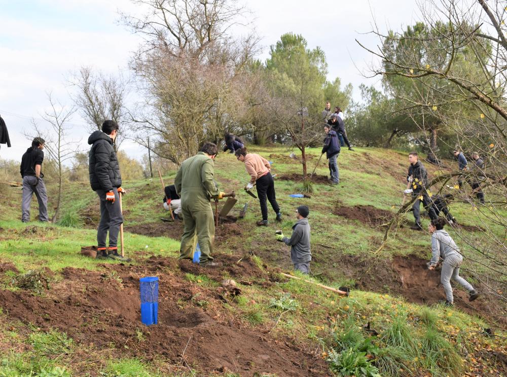  Imagen Este viernes y sábado Villaviciosa de Odón rendirá homenaje, mediante dos plantaciones, a la Escuela de Ingenieros de Montes en el 175 aniversario de su fundación