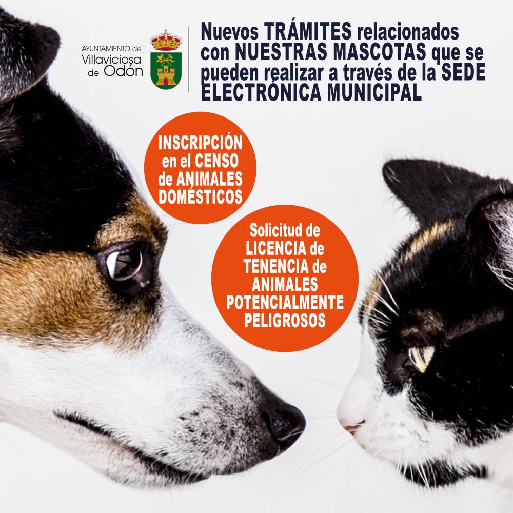  Imagen La sede electrónica de la web municipal incorpora dos nuevos trámites sobre el censo de animales domésticos y licencia de animales potencialmente peligrosos