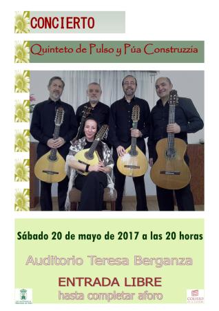 Quinteto de Pulso y Púa Construzzia