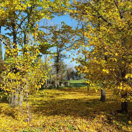 Imagen Medio Ambiente