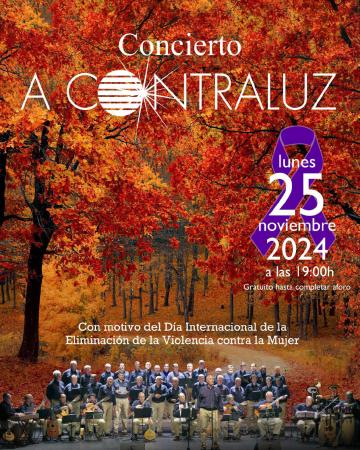 Día internacional de eliminación de la violencia contra la mujer