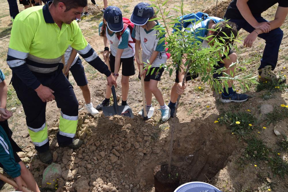  Imagen Día del Árbol, una magnífica forma de concienciarnos sobre el cuidado del medio ambiente