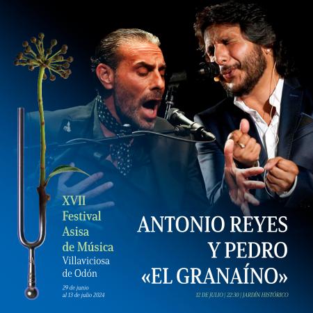 XVII Festival de Música Asisa