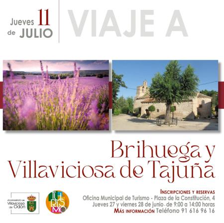 Viaje a Brihuega y Villaviciosa de Tajuña