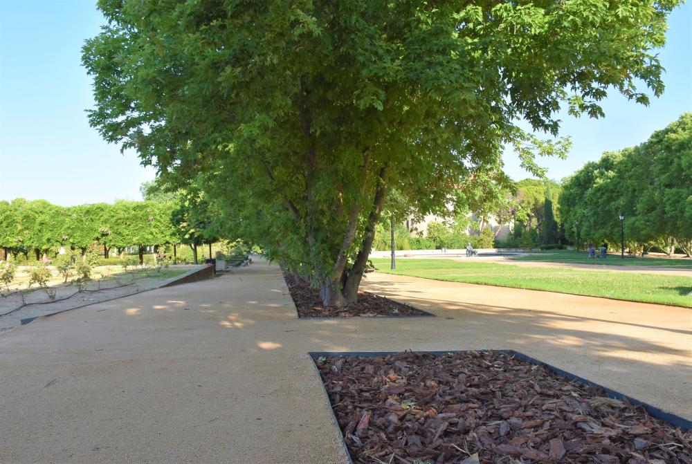  Imagen La primera fase de las obras de remodelación del Jardín Histórico mejoran el aspecto de esta zona emblemática del municipio