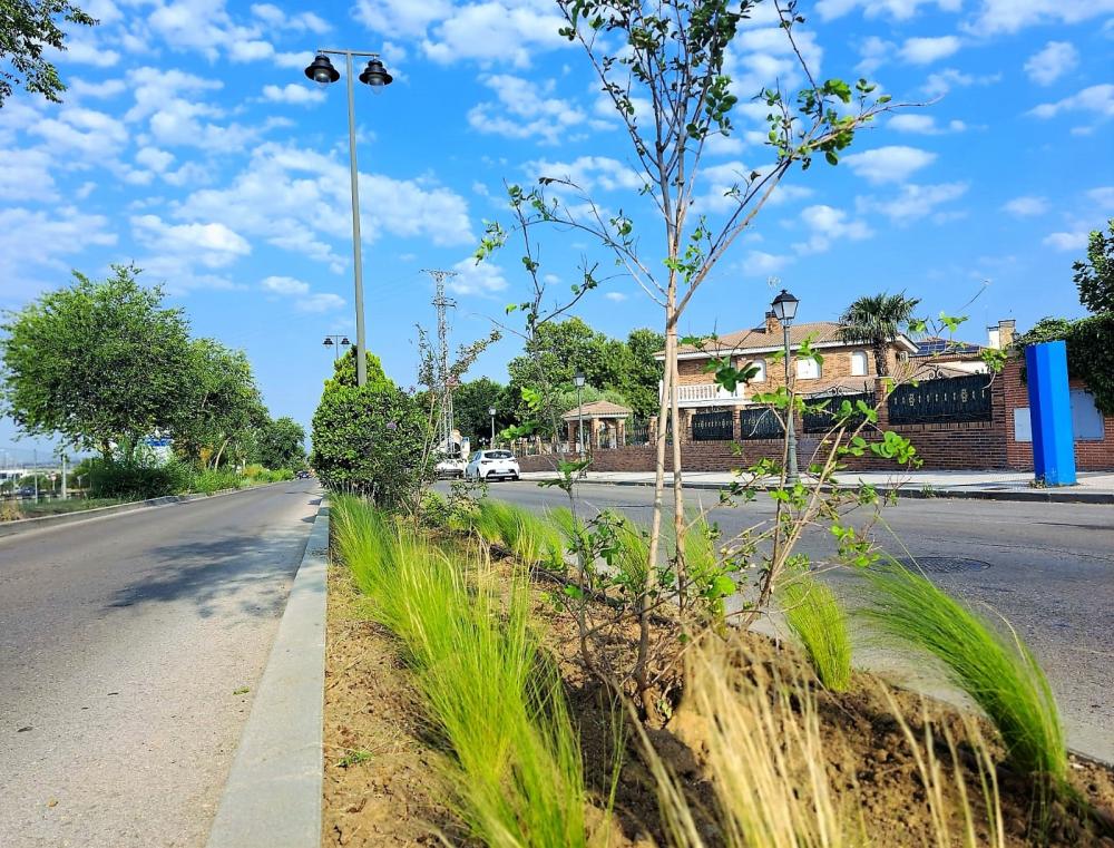  Imagen Finalizan los trabajos de plantación en uno de los parterres de la Avenida Príncipe de Asturias