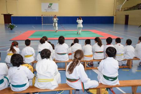 Torneo Kárate Villaviciosa de Odón