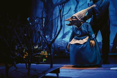 Auditorio Teresa Berganza