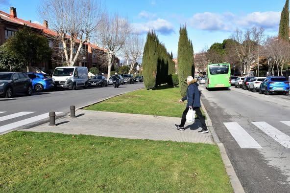 Se trasplantan los cipreses más cercanos a los pasos de peatones en la Avenida Príncipe de Asturias para mejorar la seguridad vial