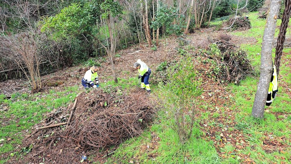  Imagen Trabajos de desbroce, destoconado y tala de brotes de especies invasoras en los jardines del Palacio de Godoy