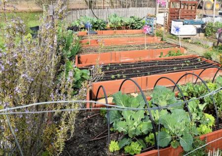 Admitidos de la lista de espera para la explotación de los huertos vecinales