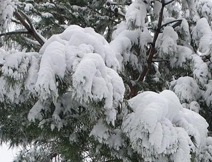 Recomendaciones para afrontar las bajas temperaturas