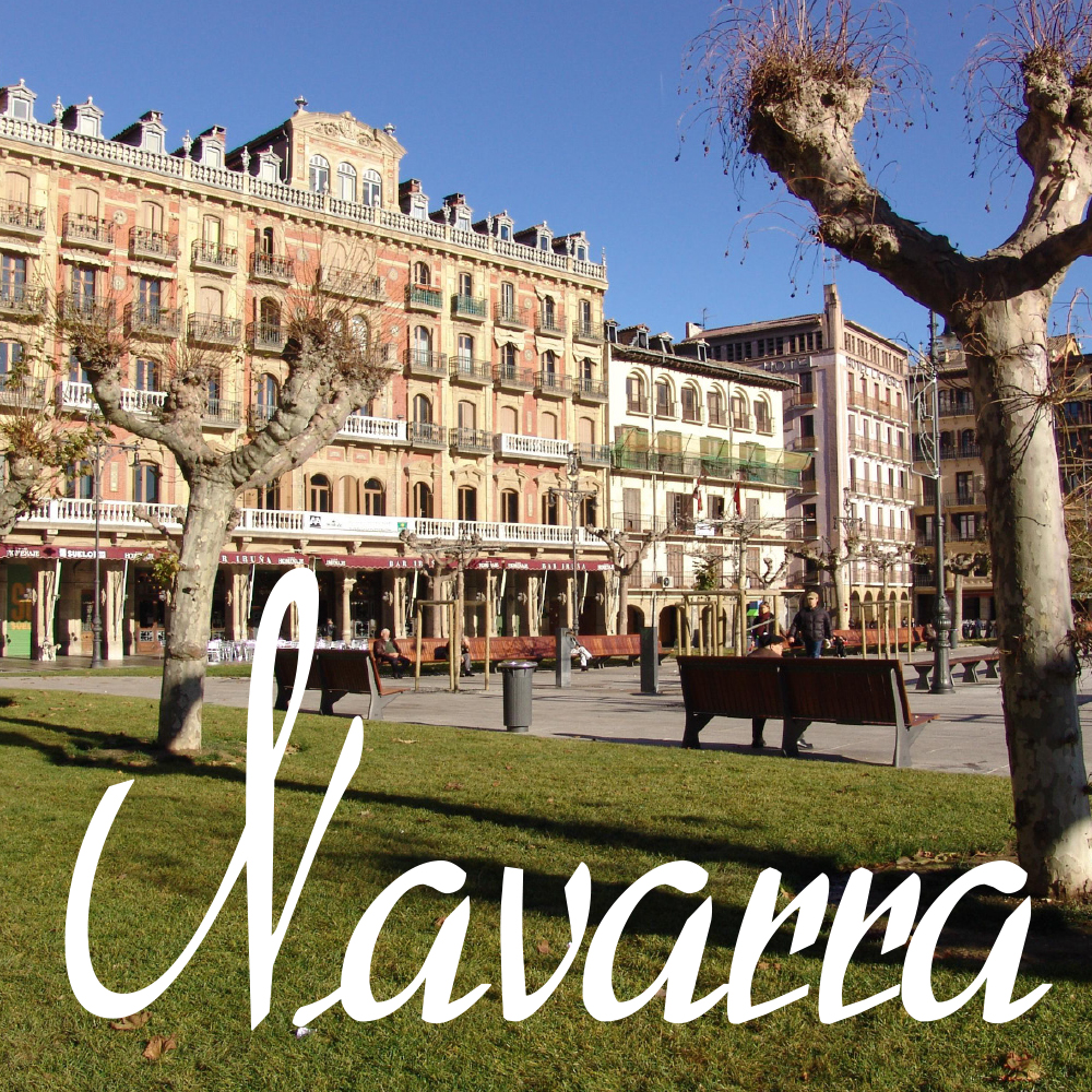 Viaje a Navarra