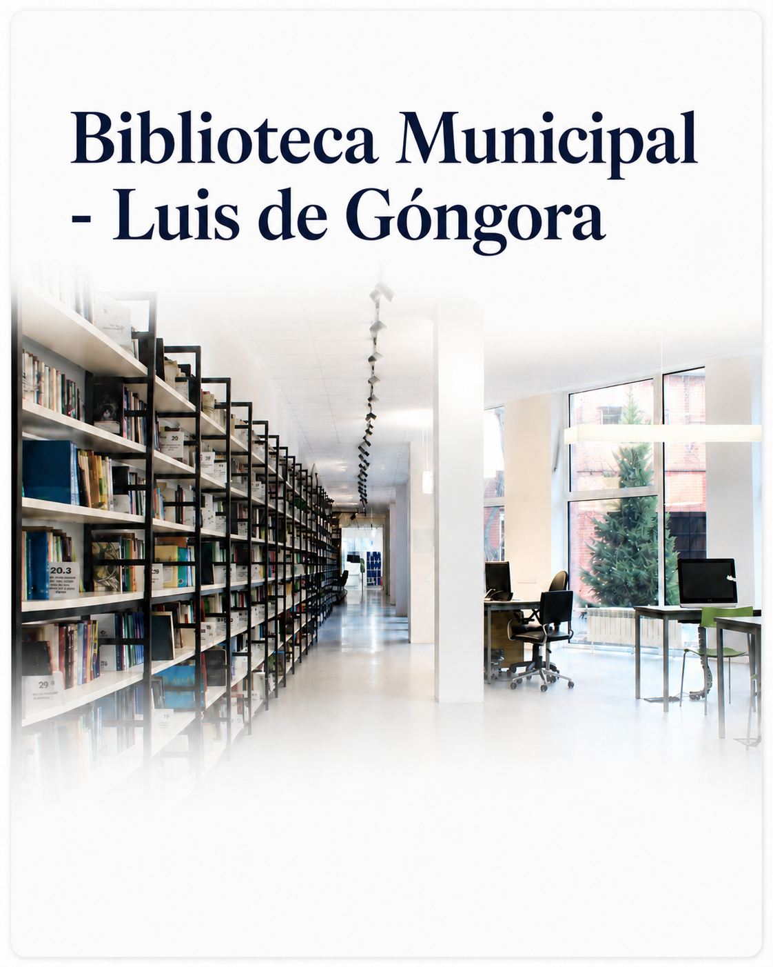 biblioteca municipal luis de góngora