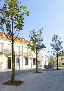hemeroteca