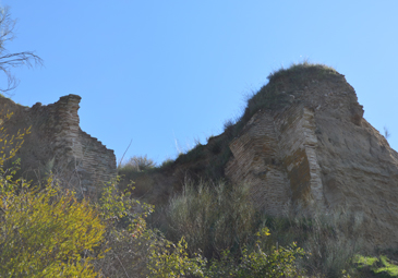 hemeroteca