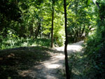 hemeroteca