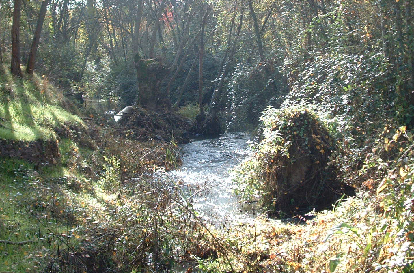 hemeroteca