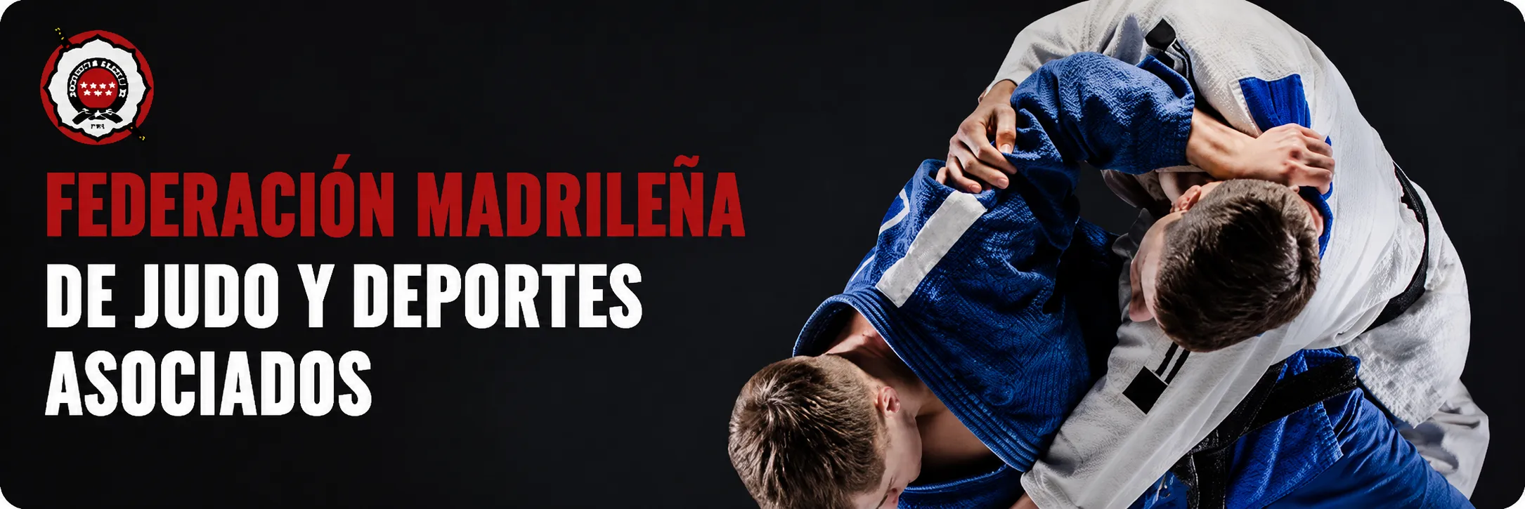 Judo Villaviciosa