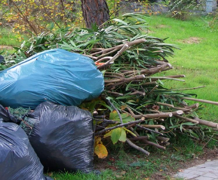 hemeroteca