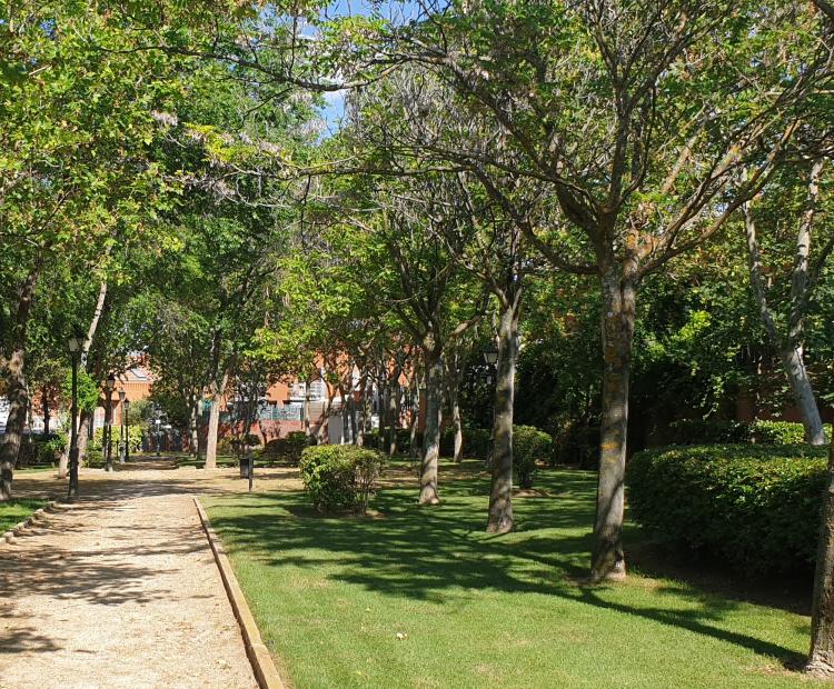 hemeroteca