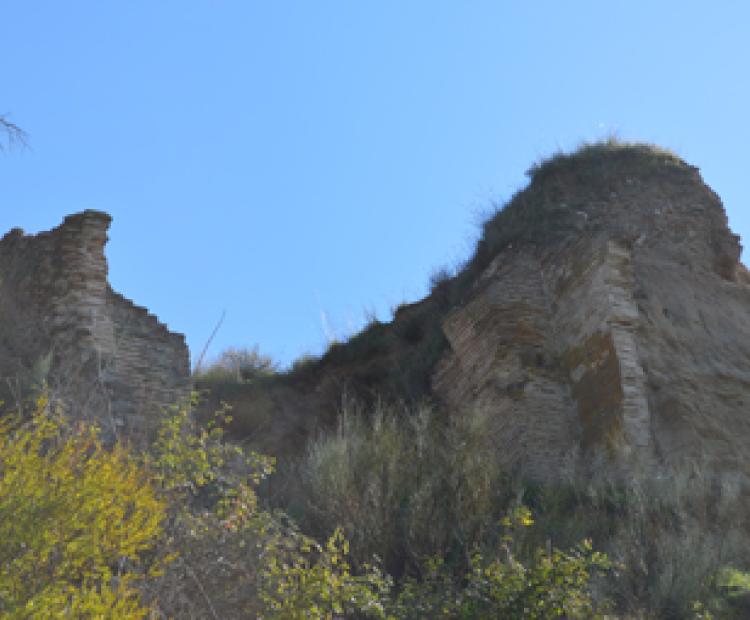 hemeroteca