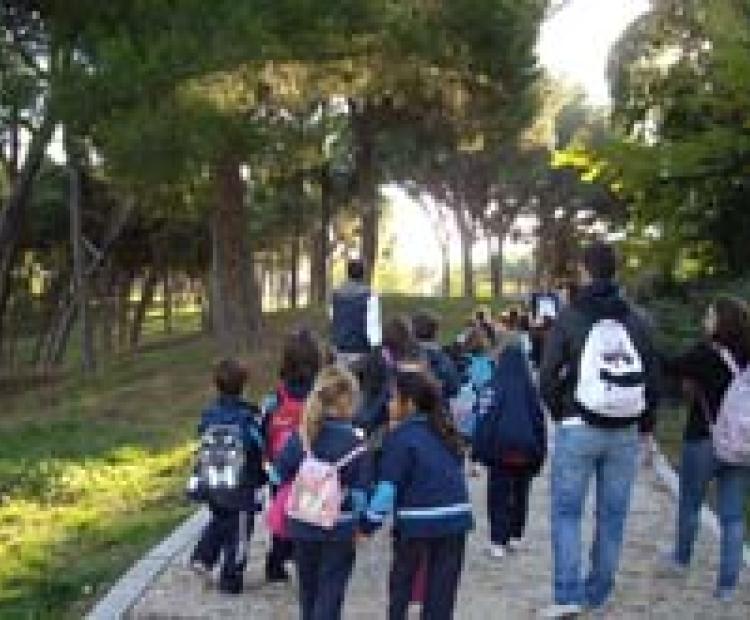 hemeroteca