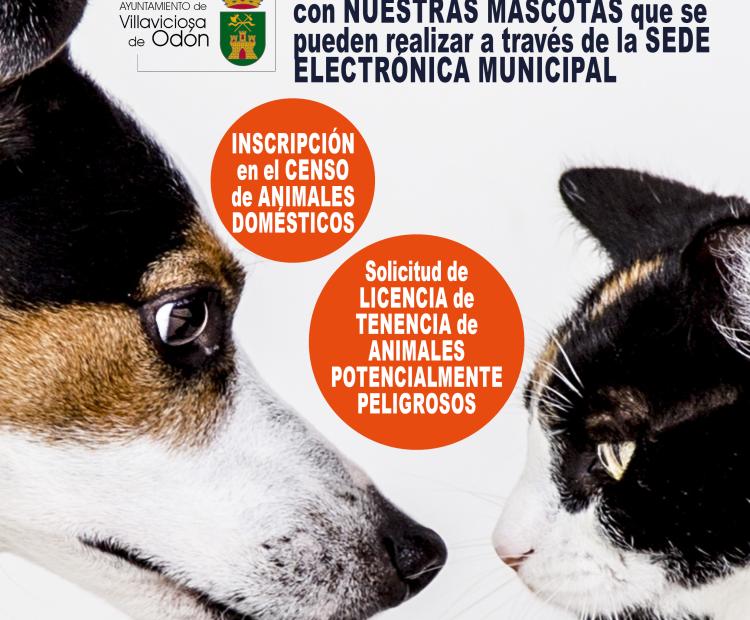 hemeroteca