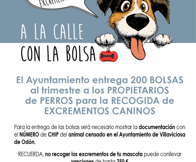 imagen previa 2026